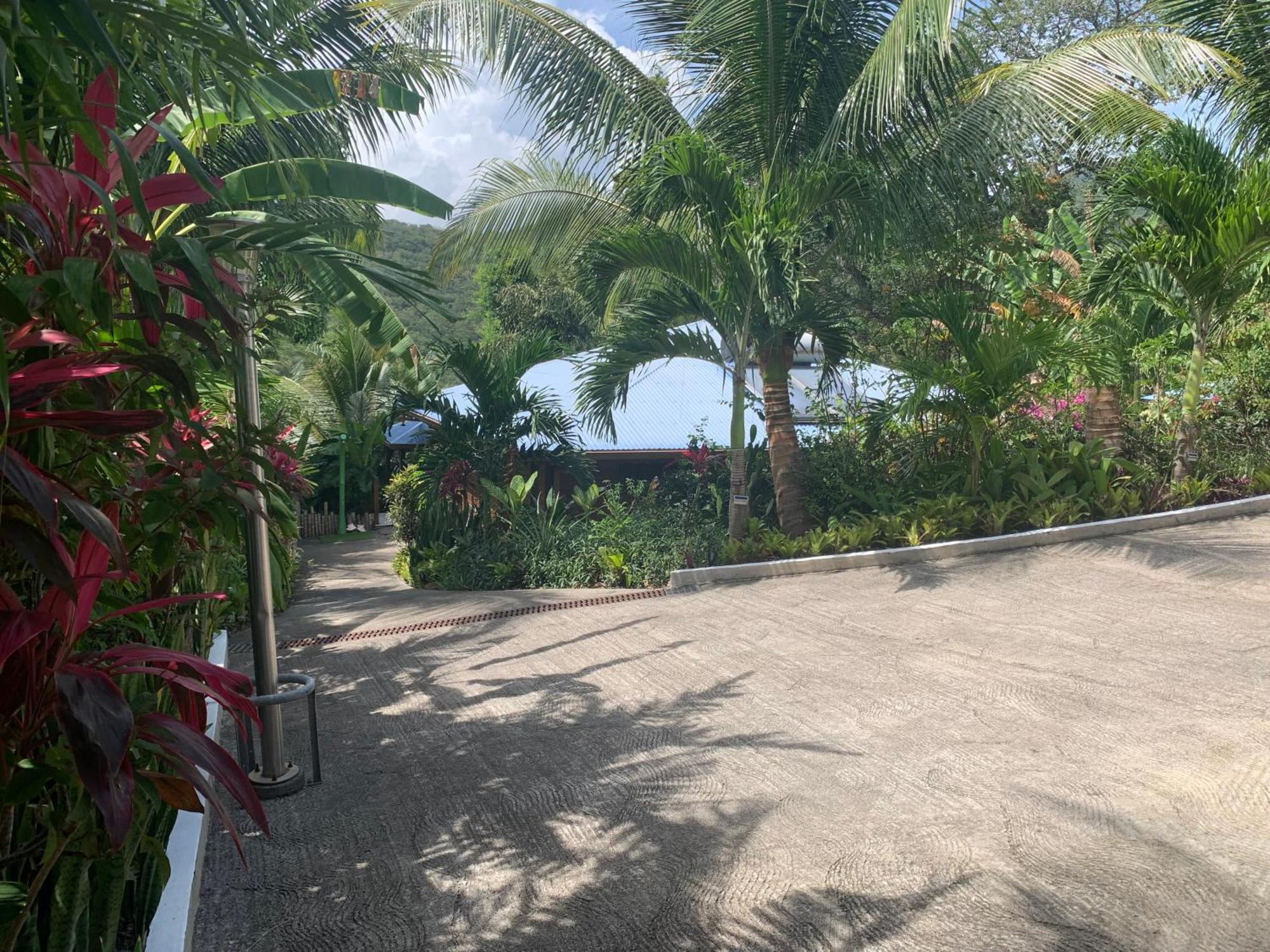 Les Ilets Caraibes Vue Mer Bouillante Exterior photo
